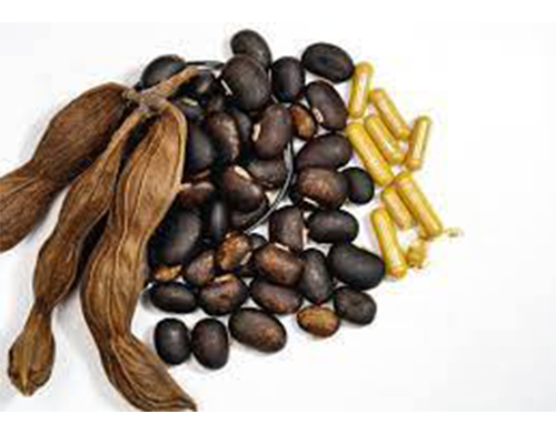 mucuna pruriens African Extreme Botanicals